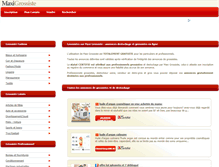 Tablet Screenshot of maxigrossiste.fr